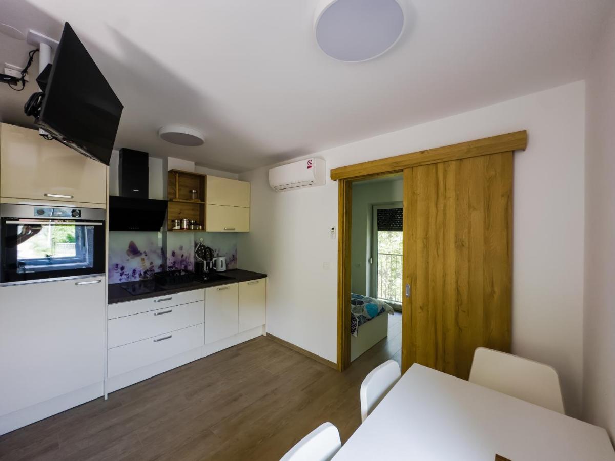 Apartmaji Silva Slap ob Idrijci Buitenkant foto